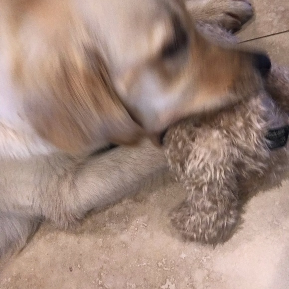 Meet your Posher, Hilary - Picture 1 of 1